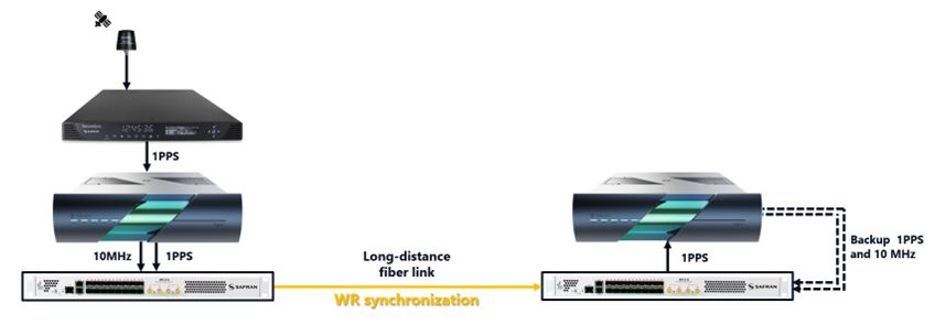White Rabbit Dissemination Topology